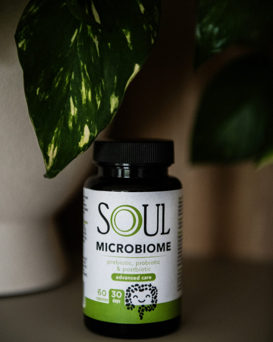 SOUL Microbiome отблизо, до листата на растение